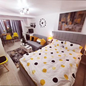 Studio Deluxe Sinaia